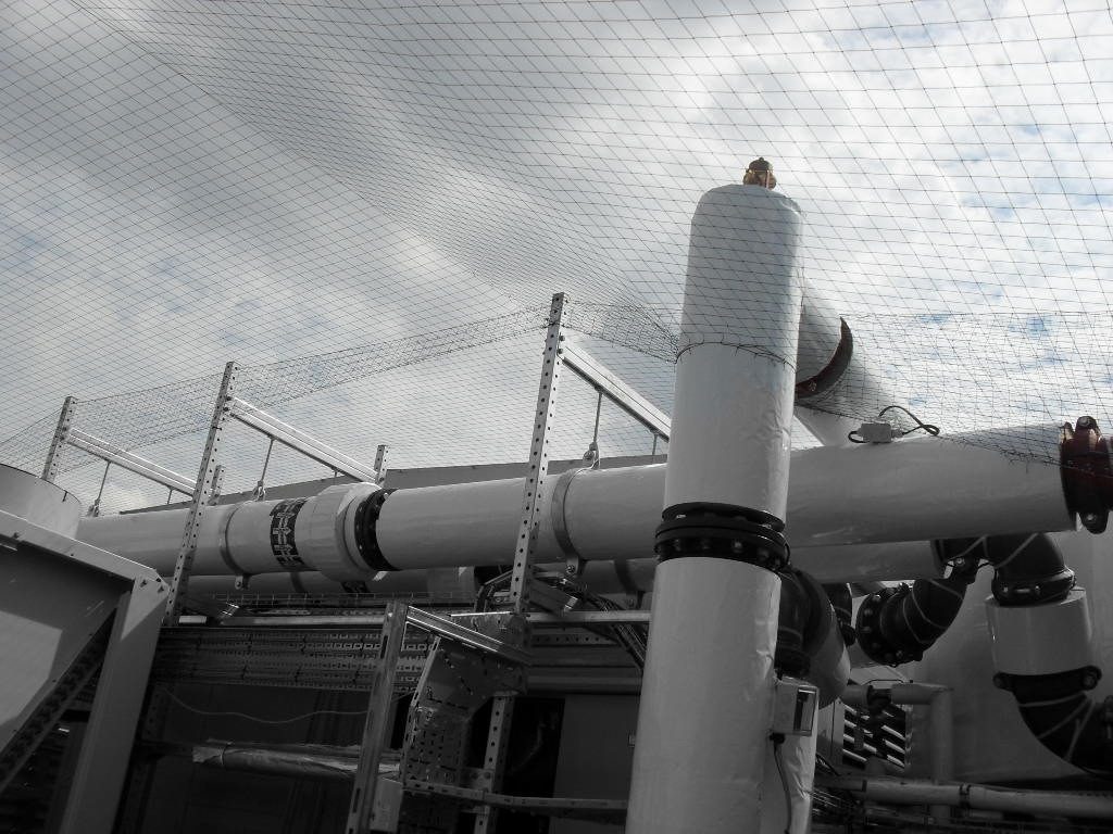 Bird Control in Manchester, North West